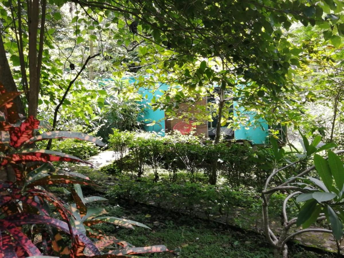Casa Rural Aroma De Campo Curubande Zewnętrze zdjęcie
